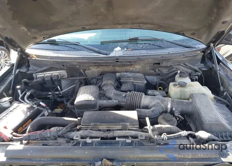 2010 Ford F-150 Fx4/Harley-Davidson/King Ranch/Lariat/Platinum/Xl/Xlt z USA, uszkodzony, nr VIN 1FTFW1EV2AFA67622